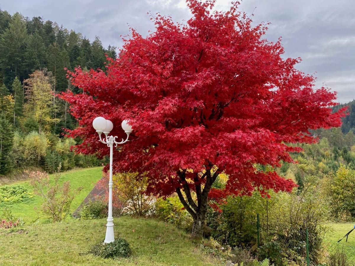Ferienwohnung Zur Bierliebe - Mit Toller Aussicht Im Herzen Des Schwarzwaldes Hornberg Esterno foto