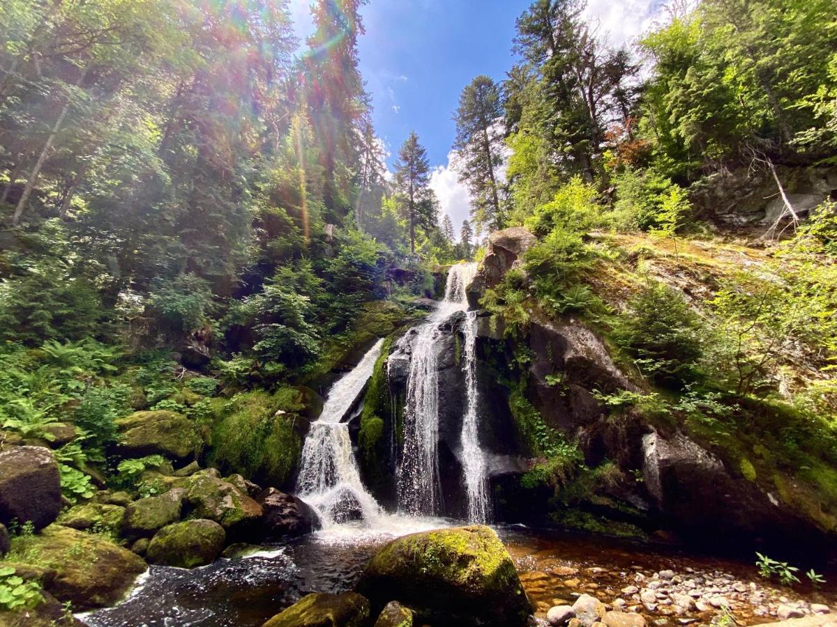 Ferienwohnung Zur Bierliebe - Mit Toller Aussicht Im Herzen Des Schwarzwaldes Hornberg Esterno foto